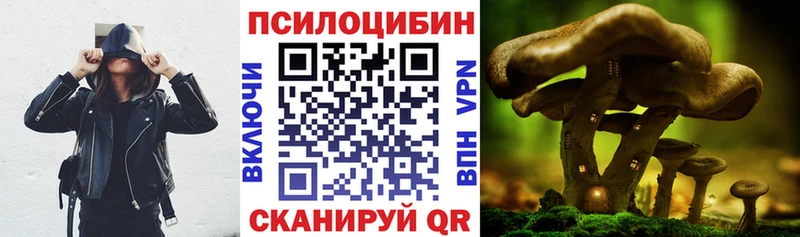 kraken рабочий сайт  Кимовск  Псилоцибиновые грибы Cubensis 